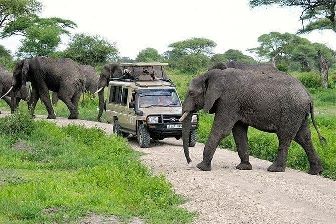 TANZANIA SAFARIS